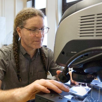 Dr. Or M. Bialik Profile