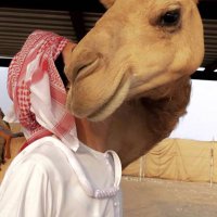 X 5 (@osw_sx) Twitter profile photo