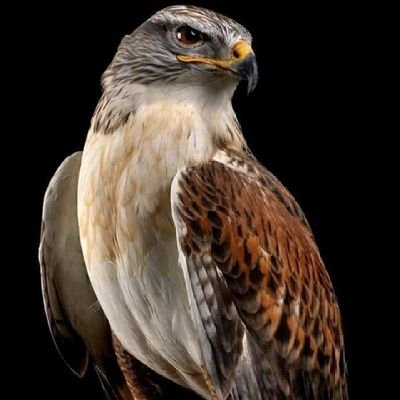 Makuti042's profile picture. 