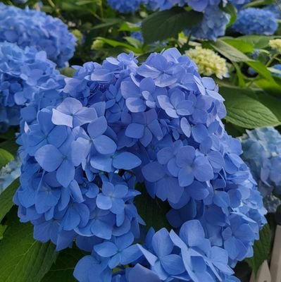 mindrubbish's profile picture. 자가면역질환으로 질병휴직ing
역마살 풀악셀 밟고있음🐴

휴직하니 경제적 자유에 대한 열망가득
여자들이여 돈은 배신하지 않음을🌊🚙