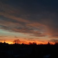 GermanBWC(DMs Open) (@takenbwc) 's Twitter Profile