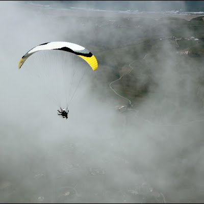 RomySosaS's profile picture. 