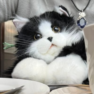 rainyAzurelatte's profile picture. 石と猫と魚とたまにゲーム。
石は雑食。コバルトバンドはロマン。