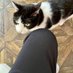 ねこ (@fhifb4i75s77928) Twitter profile photo ねこ (@fhifb4i75s77928) Twitter profile photo