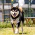 B (@buu0127) Twitter profile photo B (@buu0127) Twitter profile photo