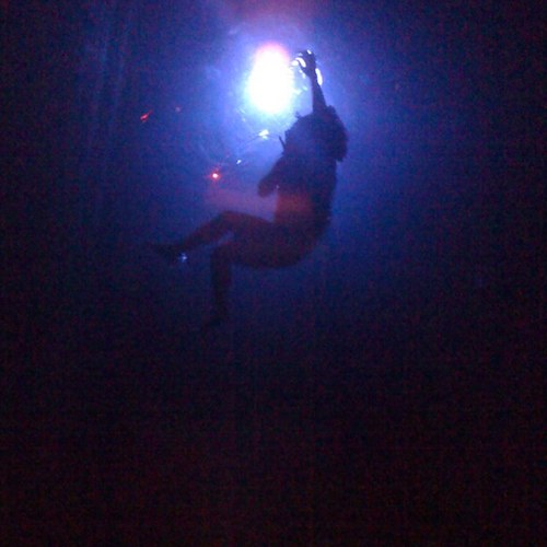 SculptorViv's profile picture. trying to make sense of nonsense