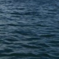 ScarlettPimpernell (@scarlettpimper9) Twitter profile photo