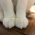 ヒロ猫エース (@swim_1201) Twitter profile photo ヒロ猫エース (@swim_1201) Twitter profile photo