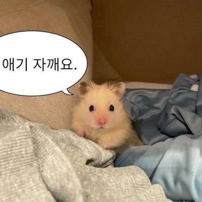 사리さんのプロフィール画像