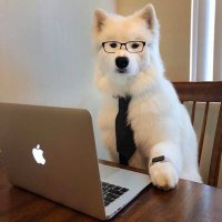 faoki (@faokiiii) 's Twitter Profile