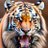 pintu_namta's profile image