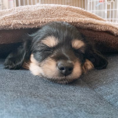 yaechan_510's profile picture. 
