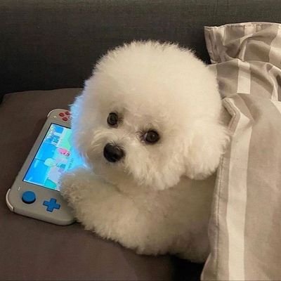 Thanom04's profile picture. 