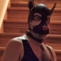 techno-pup (@longjohn23) 's Twitter Profile
