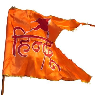 SherHindu96384's profile picture. Jai Shree Ram🚩