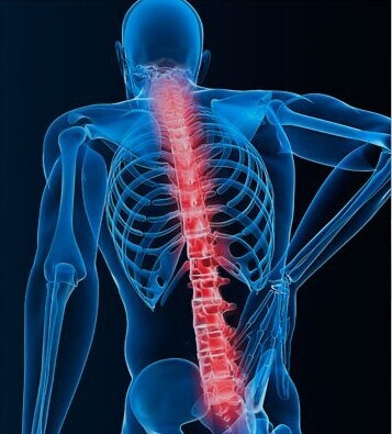 backsurgeryhous's profile picture. Surgery Specialty Hospitals of America offers a variety of diagnostic and treatment services for back pain and spinal disorders.