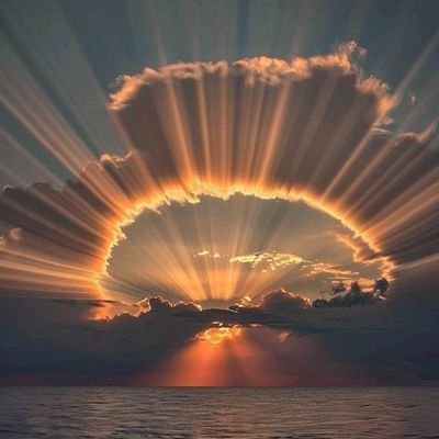 OsinachiChukw13's profile picture. I am a sigma male