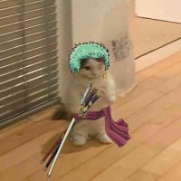 flomark (@flomarking) 's Twitter Profile