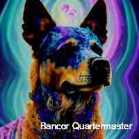 banco_rquarter's profile picture. Crypto enthusiasts since . we publish the latest crypto and nft news, defi