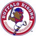 Buffalo Bisons (@BuffaloBisons) Twitter profile photo