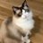 chizuko_N20