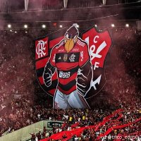 Flamenguista 🔴⚫ (@flaflafla35) 's Twitter Profile