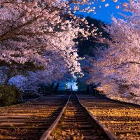 人見広介@Just Press the Shutter (@gezeichneten) 's Twitter Profile