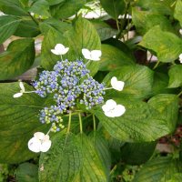 はーちゃん☺︎1y🎀 (@hamima61841) 's Twitter Profile