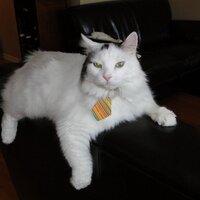 Susan Bradley (@mrssusanbradley) 's Twitter Profile