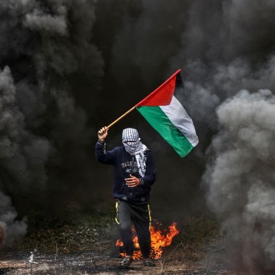 abdo52085206's profile picture. { وَلَا تَحْسَبَنَّ اللَّهَ غَافِلًا عَمَّا يَعْمَلُ الظَّالِمُونَ إِنَّمَا يُؤَخِّرُهُمْ لِيَوْمٍ تَشْخَصُ فِيهِ الْأَبْصَار } 🇵🇸