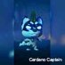 Cardano Captain (@captaaincaarda) Twitter profile photo