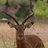 VoyagerUganda's profile image