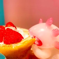 J.S (@js_057) 's Twitter Profile Photo