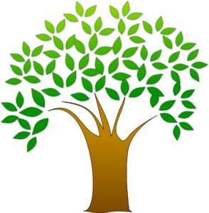 Teacher technology resource site with, Templates, Tutorials, 1000 Tech Resources, and Augmented Reality Use teacherseeds for your classroom today #edtech