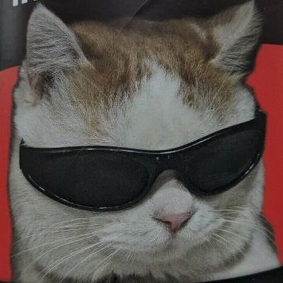 ma tym profilu będą znajdować się zdjęcia natury, zwierząt i takie tam.
główne @Anarchy_Kitty