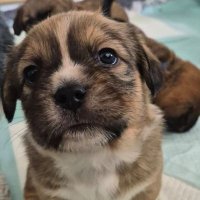 Uli und Lucky 4.6 67 (@ulrichquentin1) 's Twitter Profile Photo Uli und Lucky 4.6 67 (@ulrichquentin1) 's Twitter Profile Photo