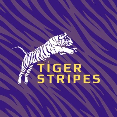 The Tiger Stripes