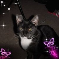 Dawn (@bunny7831) 's Twitter Profile