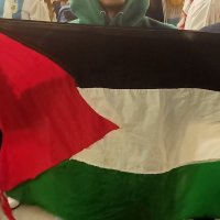 🔻جــاســر 𓂆 القدس لنا (@gasserosayed) 's Twitter Profile