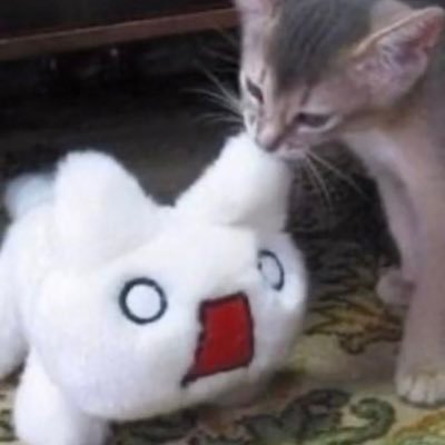 sengiiki's profile picture. 21 | valorant retired playa or not