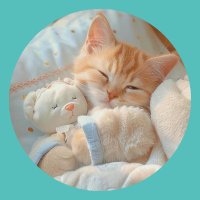 Cute Cats 𝕏 😻(@CuteCatsXViral) 's Twitter Profile Photo