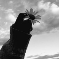 نرگس میرزاده (@myrzadh63700) 's Twitter Profile