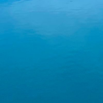 しろいきつねさんのプロフィール画像