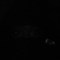 Cedrick Nicely (@ced_nicely) 's Twitter Profile
