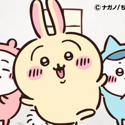 icego_York's profile picture. 