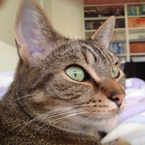 J_Hollingworth's profile picture. 