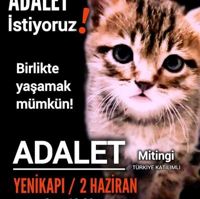 terazi,dansçı,oyuncu,hayvansever Yaşar ;çünkü neden-sonuç ilişkisini bilir, kendini bilir;çünkü kendini bilen nefsini bilir,sanatçı ruhlu çünkü başka şansı yok!
