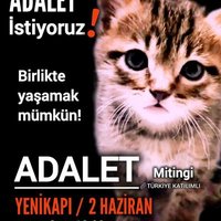 Ümit Batı Gider(@batigider) 's Twitter Profile Photo