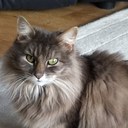 Jane Bridge - @janebridge127 - Twitter