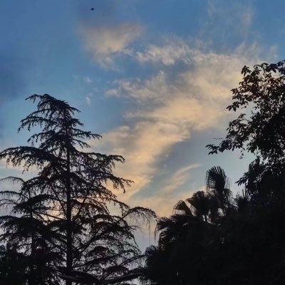 Cache6it's profile picture. 